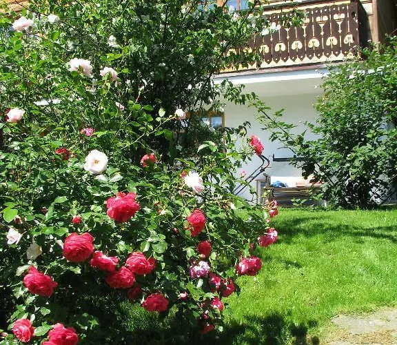 Asia Homestay szállás